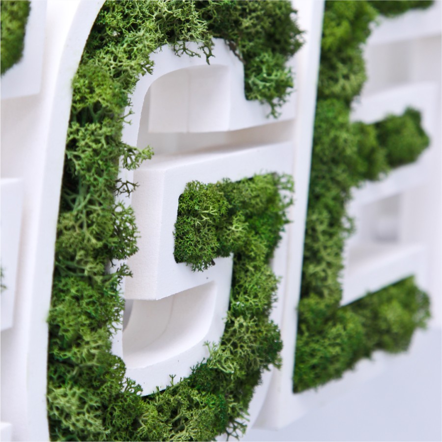 Logo vegetal Labenne